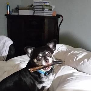 Meet your Posher, Ruth